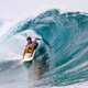 Illustration for article titled How Dare You Waste Time Looking At These Cool Surfing GIFs While Trump Occupies The White Houseem/em